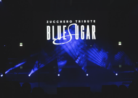 Bluesugar big